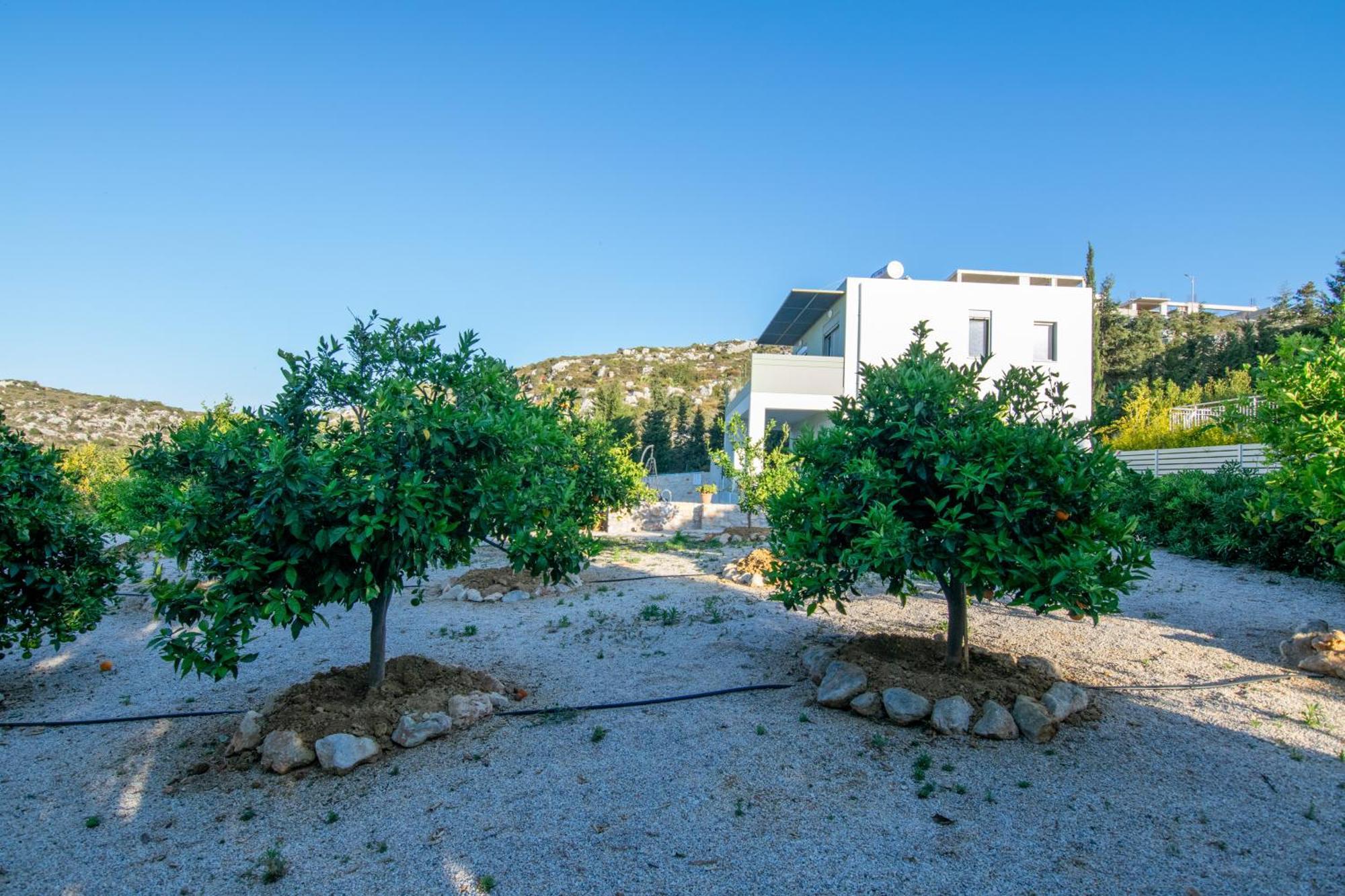 คาทาคิส วิลลา Villa Agios Onoufrios ภายนอก รูปภาพ