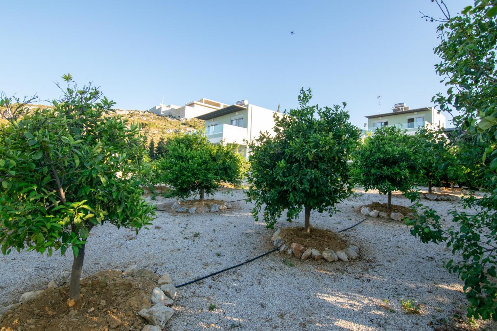 คาทาคิส วิลลา Villa Agios Onoufrios ภายนอก รูปภาพ