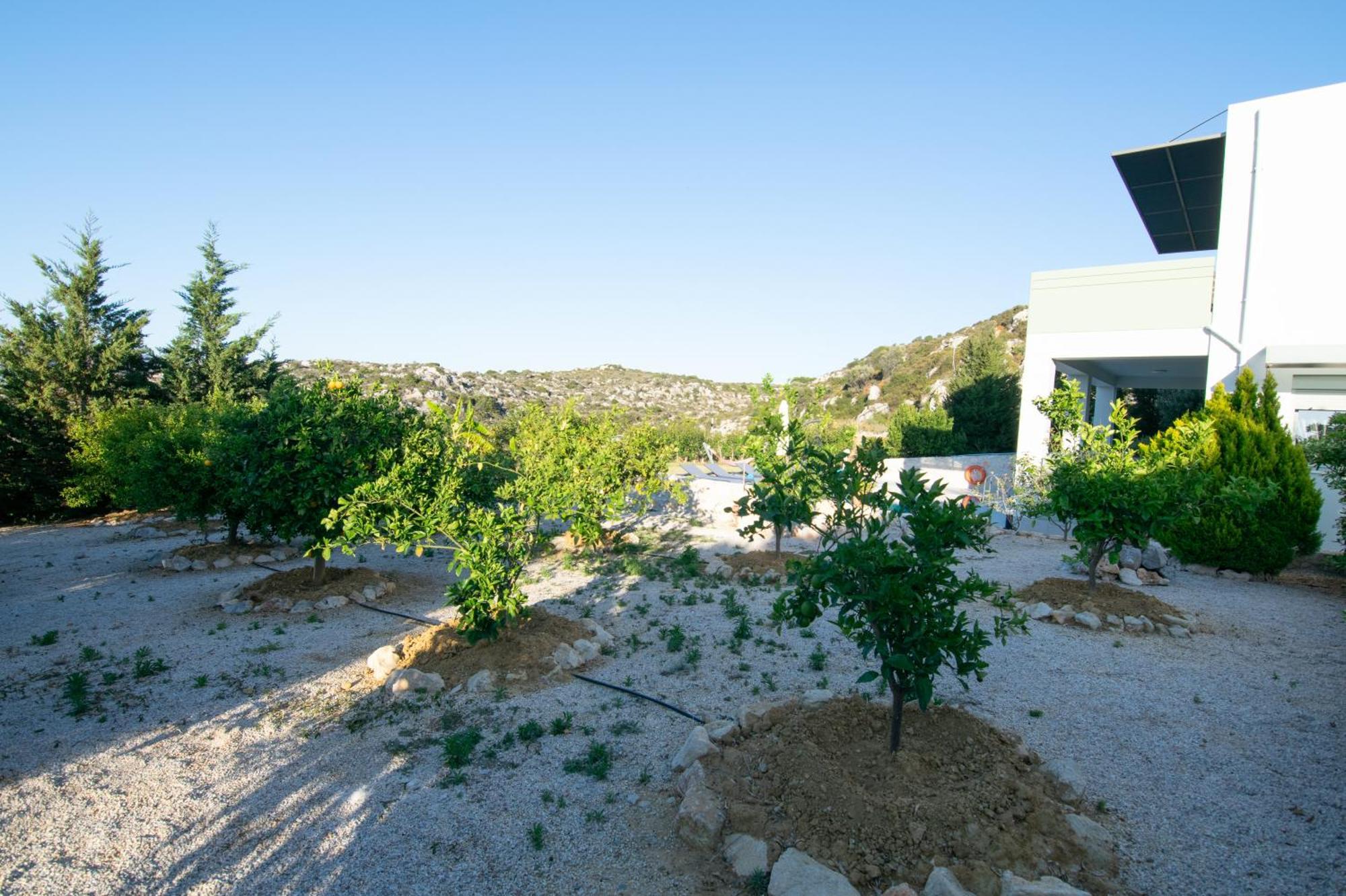 คาทาคิส วิลลา Villa Agios Onoufrios ภายนอก รูปภาพ