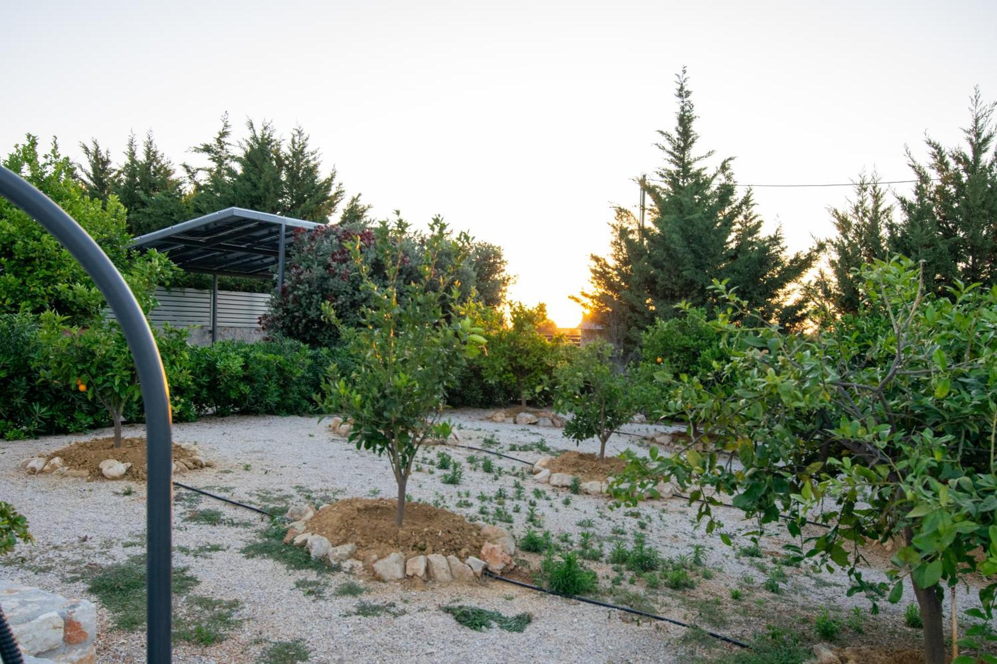 คาทาคิส วิลลา Villa Agios Onoufrios ภายนอก รูปภาพ