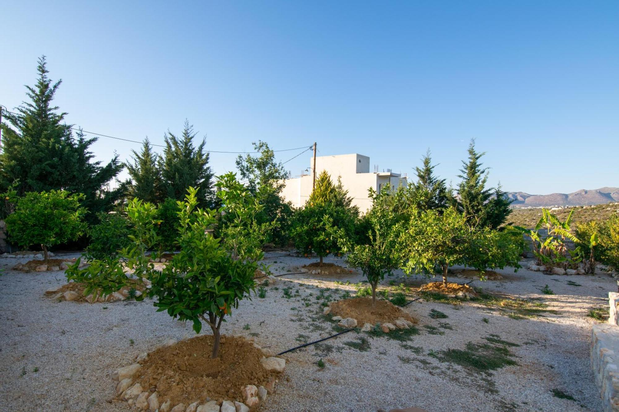คาทาคิส วิลลา Villa Agios Onoufrios ภายนอก รูปภาพ